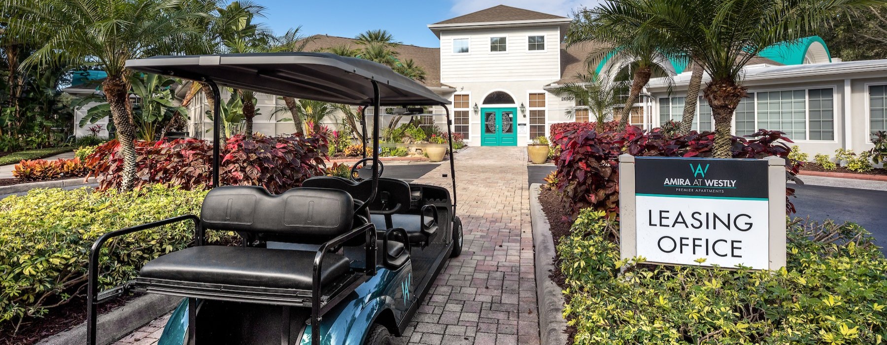 a blue and silver golf cart